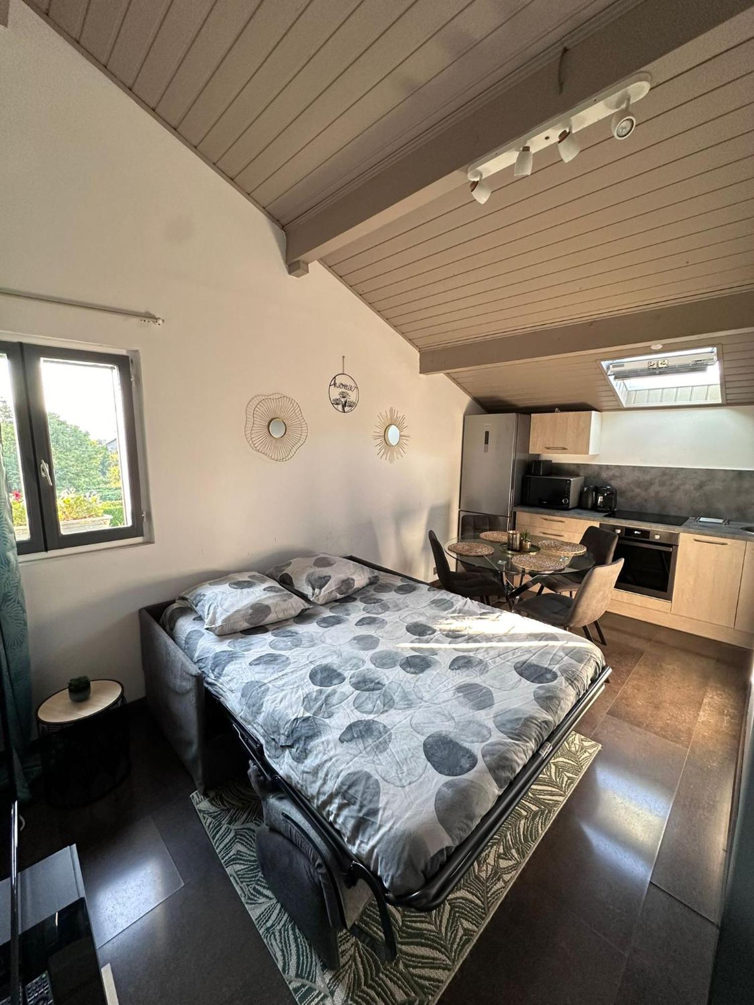 Apartment Au Calme, Parking Gratuit,proche Centre Thonon Les Bains *